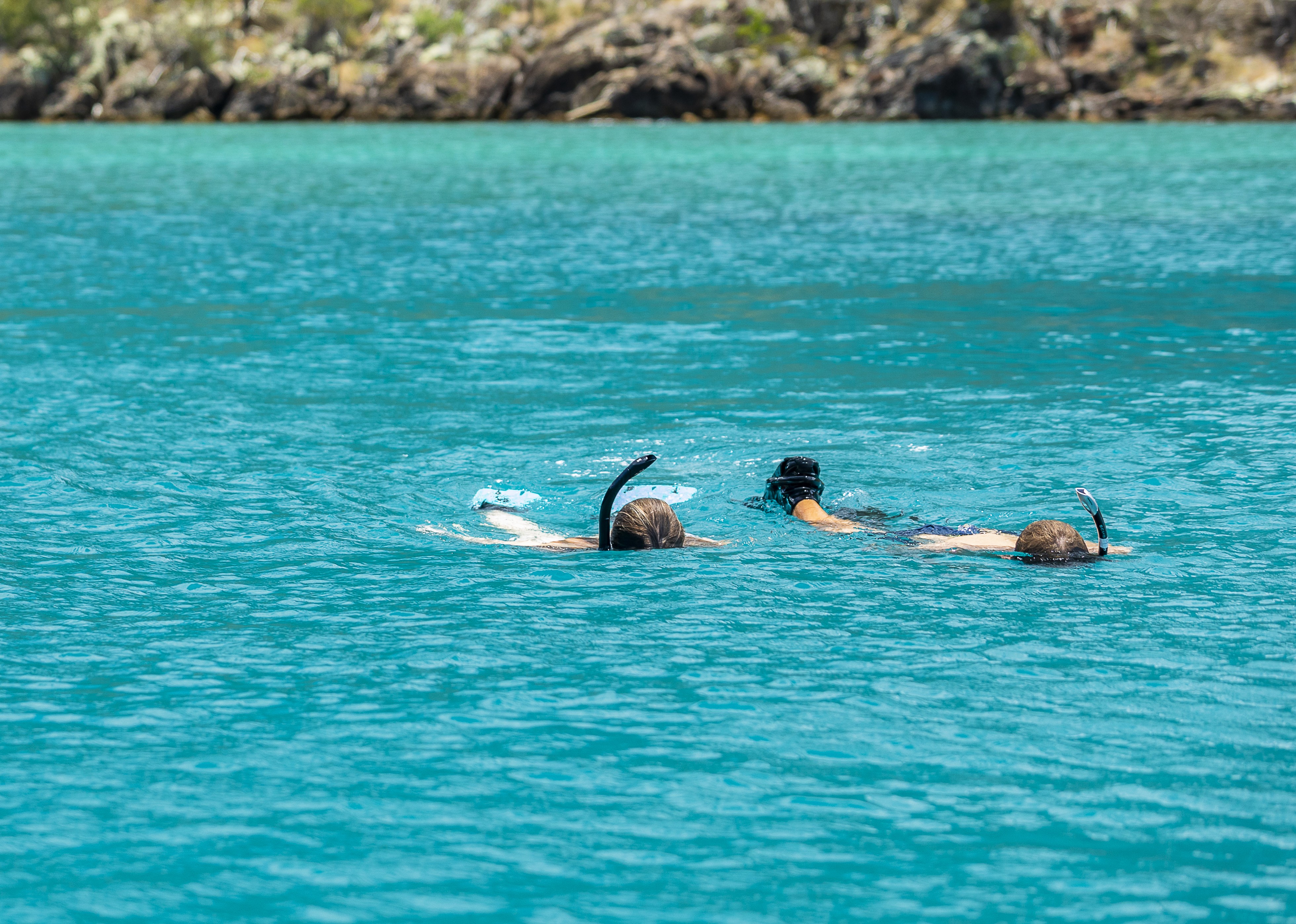 Half Day Whitsunday Adventure