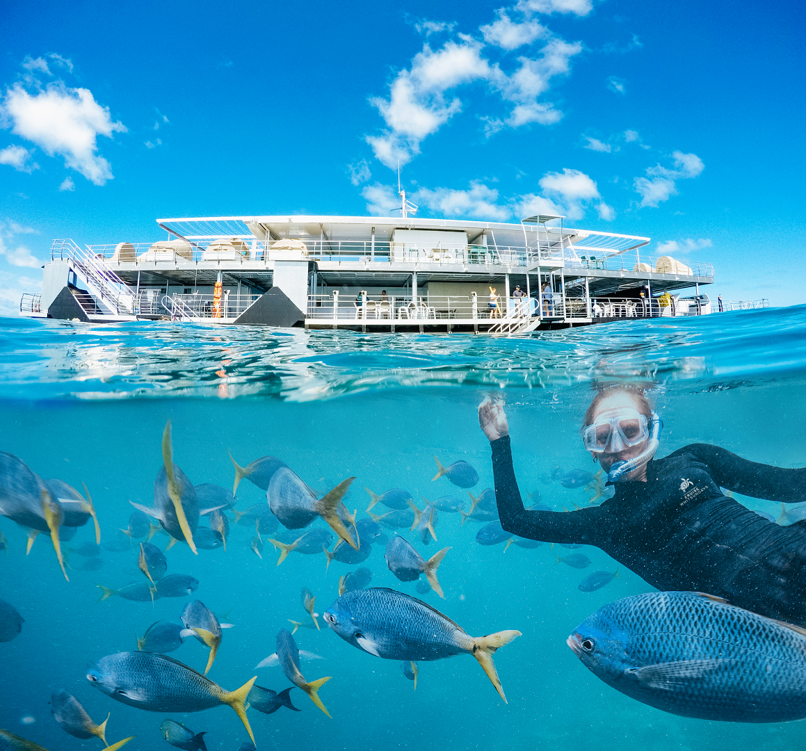 Cruise Whitsundays - Great Barrier Reef Adventures (Airlie)